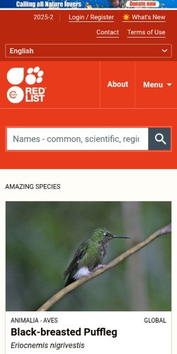 Screenshot of the audited page (Mobile 375×812)