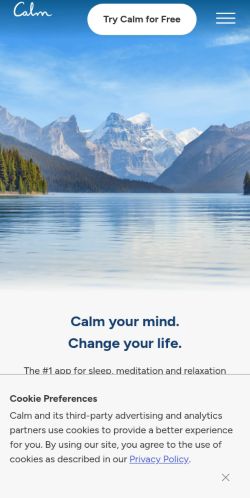 Screenshot of the audited page (Mobile 375×812)