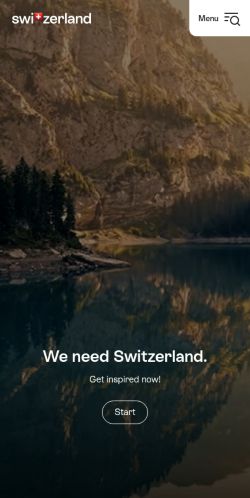 Screenshot of the audited page (Mobile 375×812)