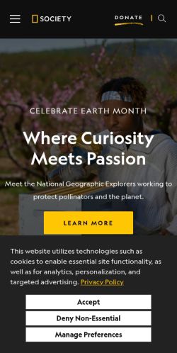Screenshot of the audited page (Mobile 375×812)