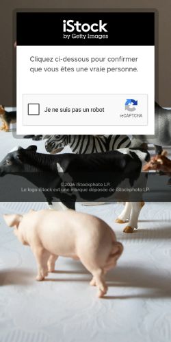 Screenshot of the audited page (Mobile 375×812)