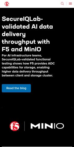 Screenshot of the audited page (Mobile 375×812)