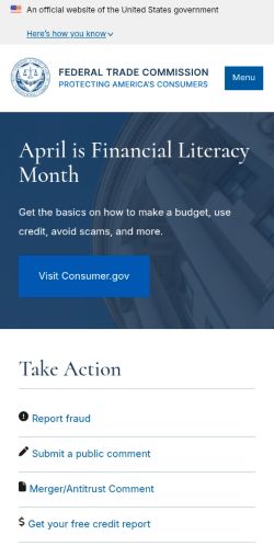 Screenshot of the audited page (Mobile 375×812)