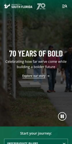 Screenshot of the audited page (Mobile 375×812)