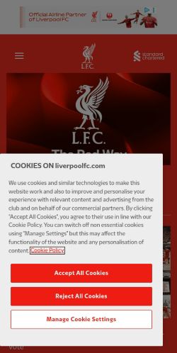 Screenshot of the audited page (Mobile 375×812)