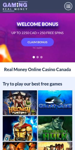 Screenshot of the audited page (Mobile 375×812)