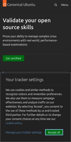 Screenshot of the audited page (Mobile 375×812)
