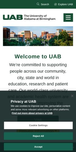 Screenshot of the audited page (Mobile 375×812)