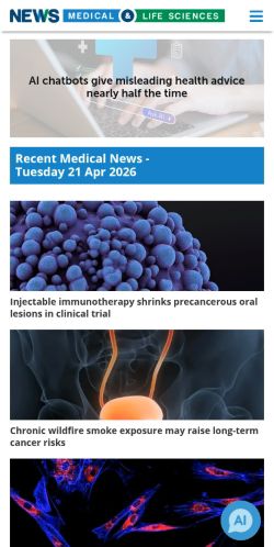 Screenshot of the audited page (Mobile 375×812)