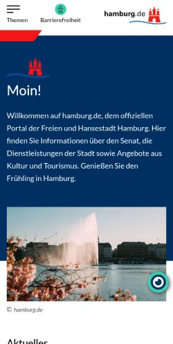 Screenshot of the audited page (Mobile 375×812)