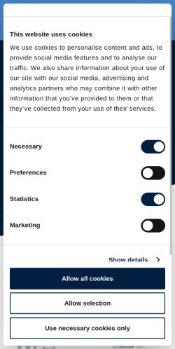 Screenshot of the audited page (Mobile 375×812)