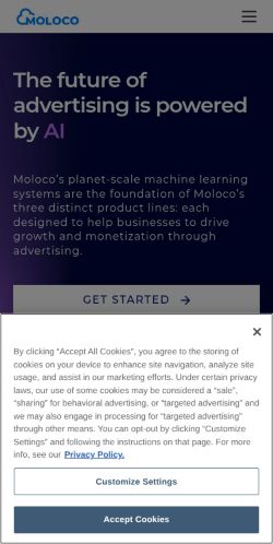 Screenshot of the audited page (Mobile 375×812)