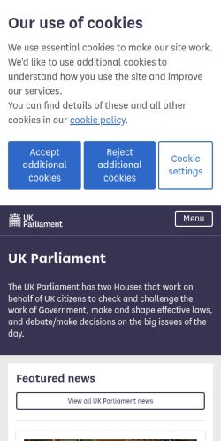 Screenshot of the audited page (Mobile 375×812)