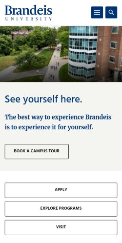 Screenshot of the audited page (Mobile 375×812)