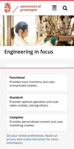 Screenshot of the audited page (Mobile 375×812)
