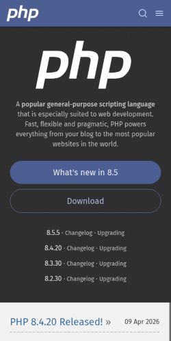 Screenshot of the audited page (Mobile 375×812)
