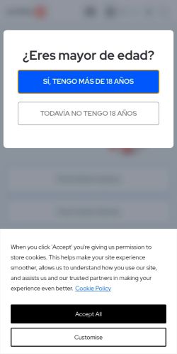 Screenshot of the audited page (Mobile 375×812)