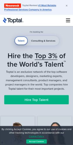 Screenshot of the audited page (Mobile 375×812)