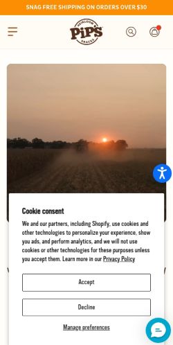 Screenshot of the audited page (Mobile 375×812)
