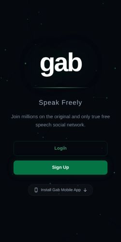 Screenshot of the audited page (Mobile 375×812)