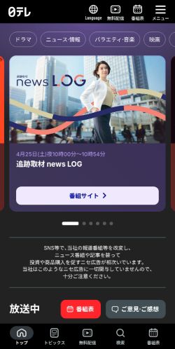 Screenshot of the audited page (Mobile 375×812)