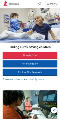 Screenshot of the audited page (Mobile 375×812)