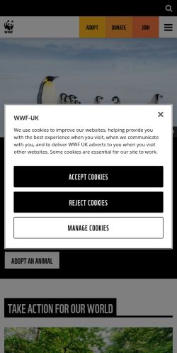 Screenshot of the audited page (Mobile 375×812)