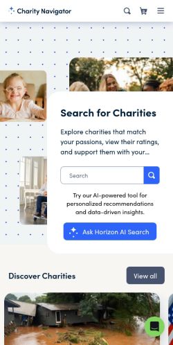 Screenshot of the audited page (Mobile 375×812)