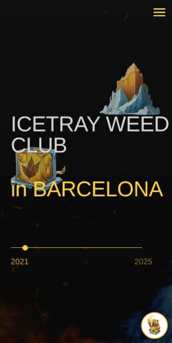 Screenshot of the audited page (Mobile 375×812)