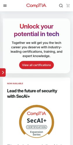 Screenshot of the audited page (Mobile 375×812)