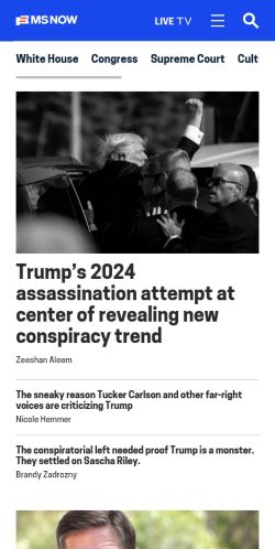 Screenshot of the audited page (Mobile 375×812)