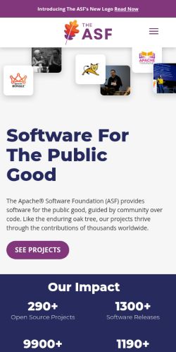 Screenshot of the audited page (Mobile 375×812)