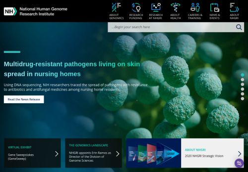 Screenshot of the audited page (Desktop 1440×900)