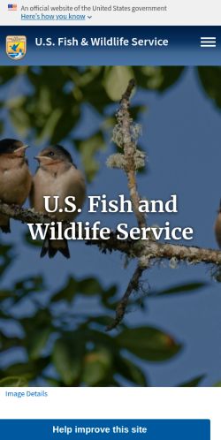 Screenshot of the audited page (Mobile 375×812)