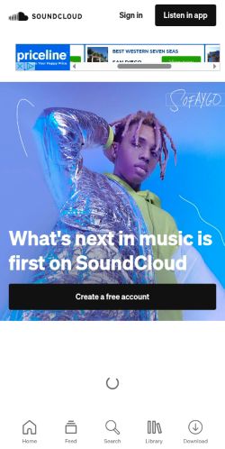 Screenshot of the audited page (Mobile 375×812)