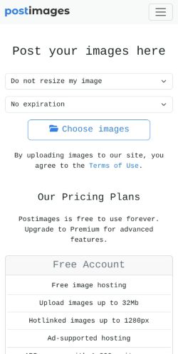 Screenshot of the audited page (Mobile 375×812)