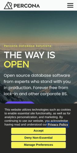 Screenshot of the audited page (Mobile 375×812)