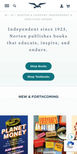Screenshot of the audited page (Mobile 375×812)