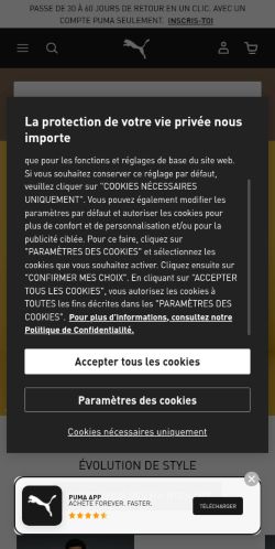 Screenshot of the audited page (Mobile 375×812)