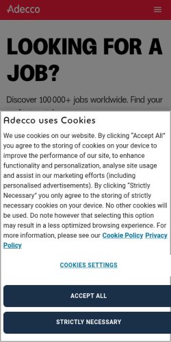 Screenshot of the audited page (Mobile 375×812)