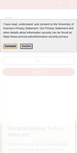 Screenshot of the audited page (Mobile 375×812)