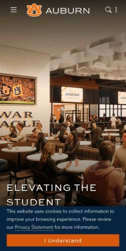 Screenshot of the audited page (Mobile 375×812)