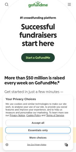 Screenshot of the audited page (Mobile 375×812)