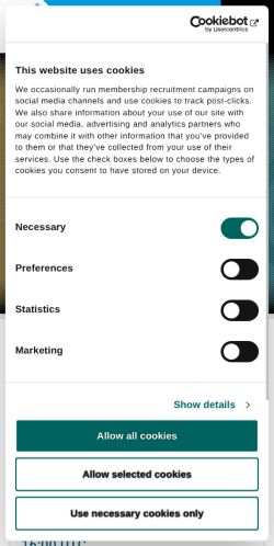 Screenshot of the audited page (Mobile 375×812)