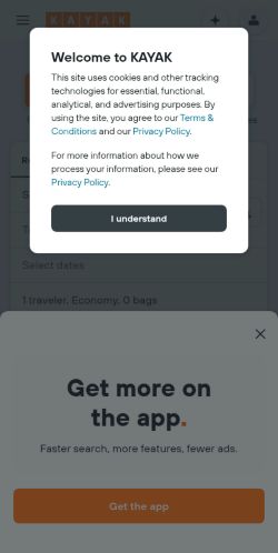 Screenshot of the audited page (Mobile 375×812)