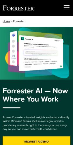 Screenshot of the audited page (Mobile 375×812)