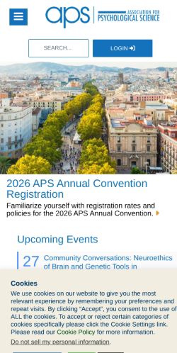 Screenshot of the audited page (Mobile 375×812)