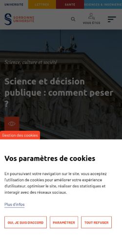 Screenshot of the audited page (Mobile 375×812)
