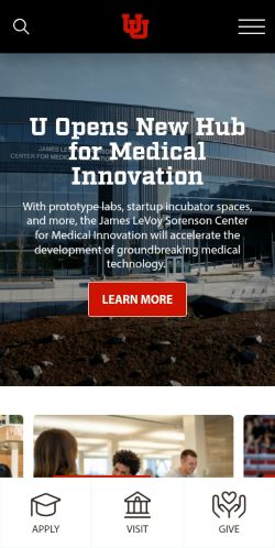 Screenshot of the audited page (Mobile 375×812)