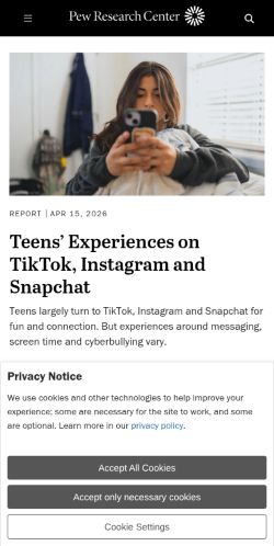 Screenshot of the audited page (Mobile 375×812)